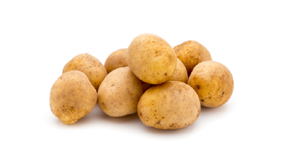 Patates Soğuk Hava Deposu