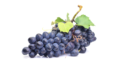 Grape Cold Storage Room