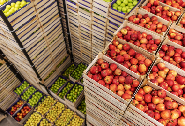 Sala de almacenamiento en frío con atmósfera controlada